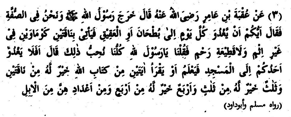 Part I (Hadith 3)' 19 ■ • aside for the person who cannot attend the function be- cause of the task of distribution given to him by the dis* tributor Himself. In another hadith, in the same context, it is mentioned that Allah would give such a person a better reward than what He would give to His ever grateful ser- vants. . „ "■■; HADITH-3 jJU* *i Jib m Ui or i jp>; m & KfeNj £ > Hadhrat 'Uqbah ibn Aamir (Radhiyallaho anho) has said: "Rasulullah (Sallallaho alaihe wasallam) came to us while we were sitting on the Suffah and asked if any one of us would like to go to the market of But-haan or Aqeeq and fetch from there two she- ' camels of the finest breed without commiting any sin or severing a tie of kinship. We replied that everyone of us would love to do so. Rasulullah (Sallallaho alaihe wasallam) then said that going to the musjid and recit- ing or teaching two ayaat of the Qur'an is more pre- cious than two she-camels, three ayaat are most precious than three she-camels, and that similarly re- citing or teaching of four ayaat is better than four she- camels and an equal number of camels."